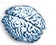 Brain