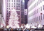 Christmas Tree in Manhattan